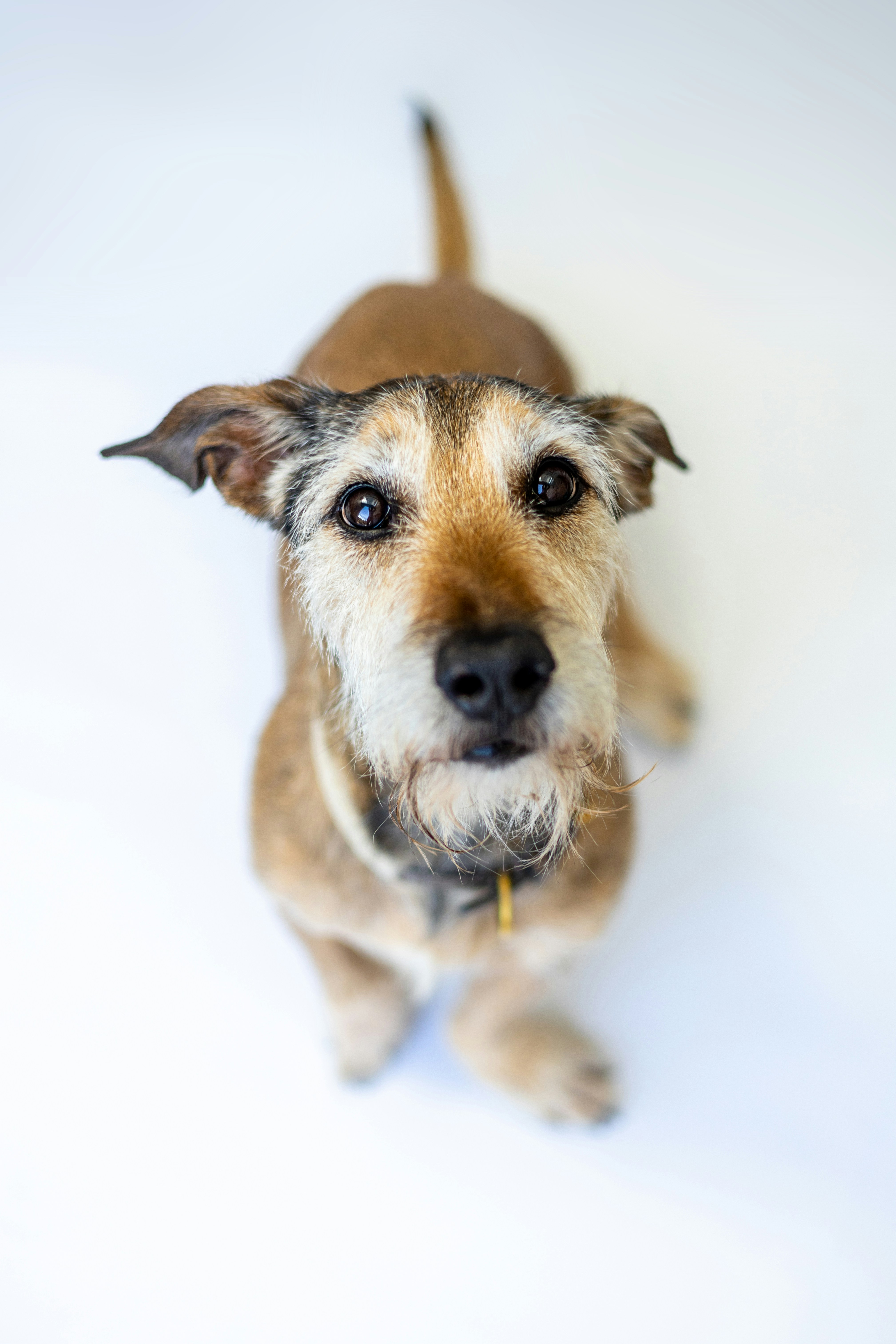 Photo by petaracanski