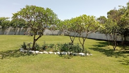 A well-maintained garden features two prominent trees with lush green foliage, surrounded by a small arrangement of white rocks and flowering plants. The grassy lawn extends into the background where a white picket fence lines the perimeter. In the distance, people are seated on benches under the shade of trees.
