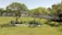 A well-maintained garden features two prominent trees with lush green foliage, surrounded by a small arrangement of white rocks and flowering plants. The grassy lawn extends into the background where a white picket fence lines the perimeter. In the distance, people are seated on benches under the shade of trees.