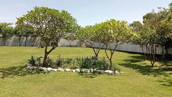 A well-maintained garden features two prominent trees with lush green foliage, surrounded by a small arrangement of white rocks and flowering plants. The grassy lawn extends into the background where a white picket fence lines the perimeter. In the distance, people are seated on benches under the shade of trees.