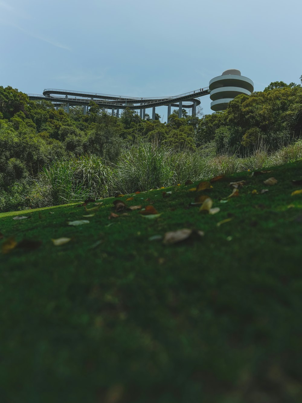 a green hill with a building in the background