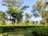 Lush green trees surrounding a tranquil wellness centre under a clear blue sky.