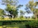 Lush green trees surrounding a tranquil wellness centre under a clear blue sky.