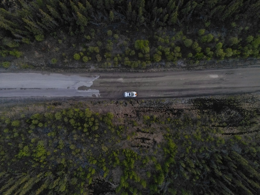 an aerial view of a truck driving through a forest