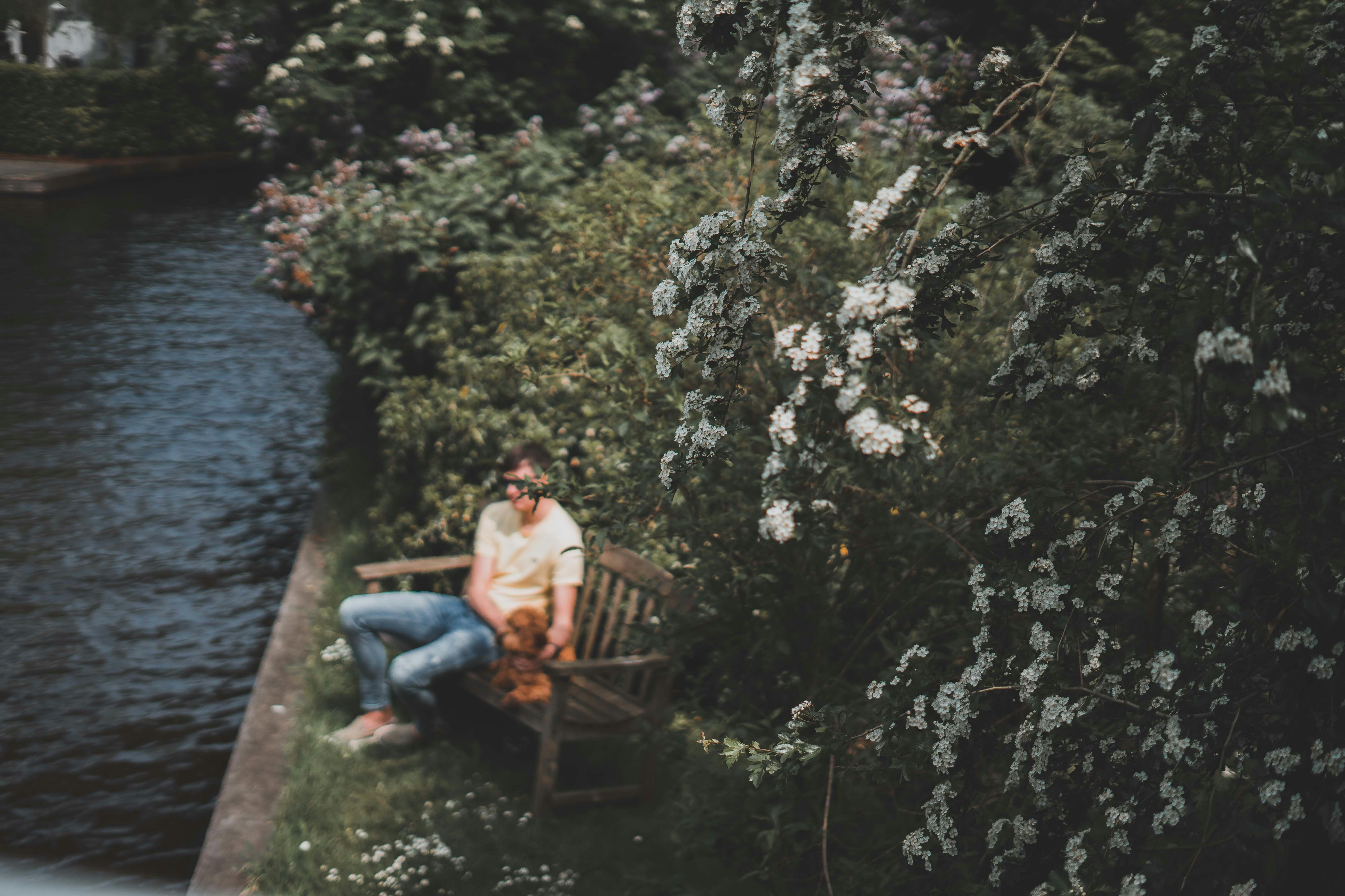 Photo by renate_dreyer