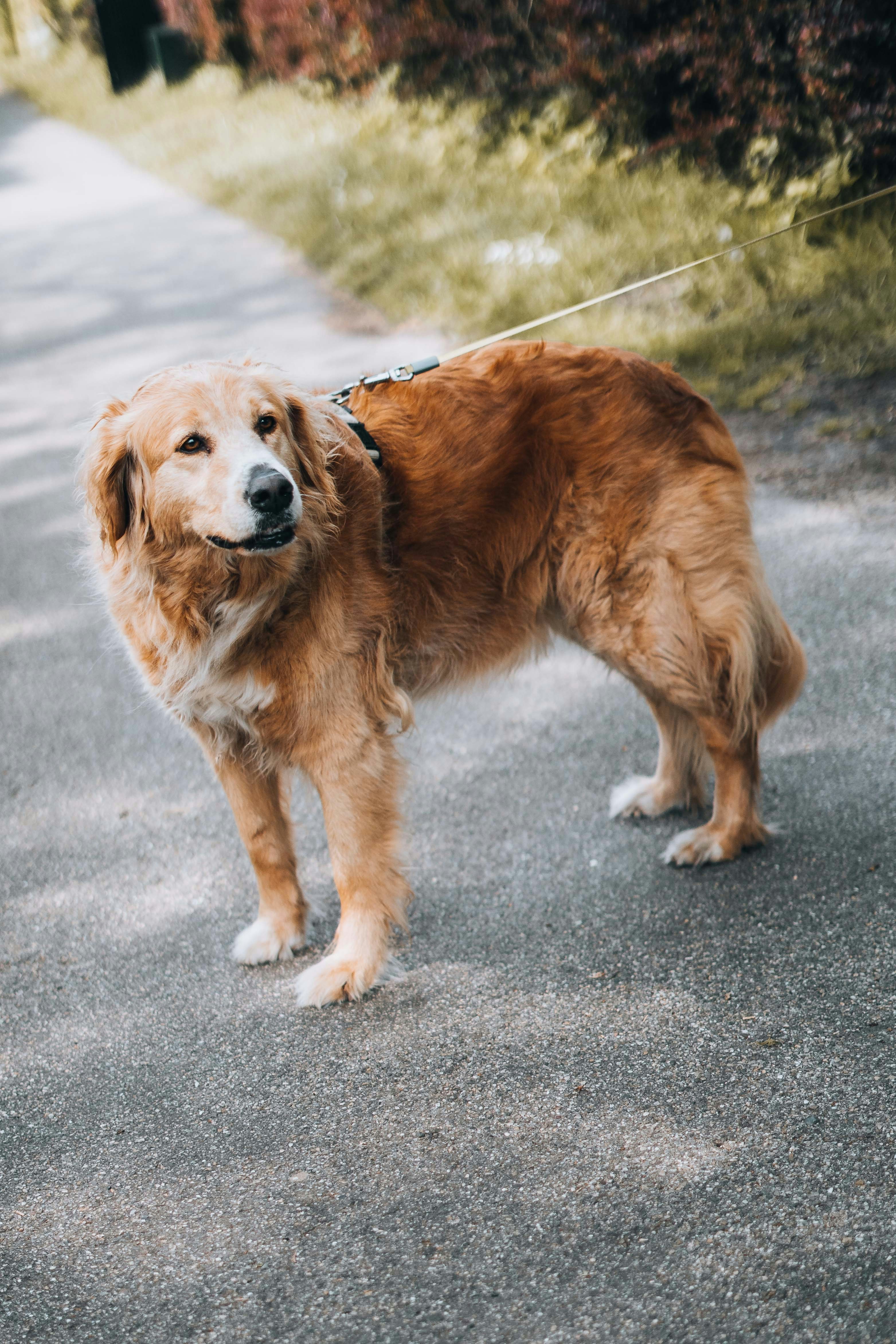 Photo by renate_dreyer