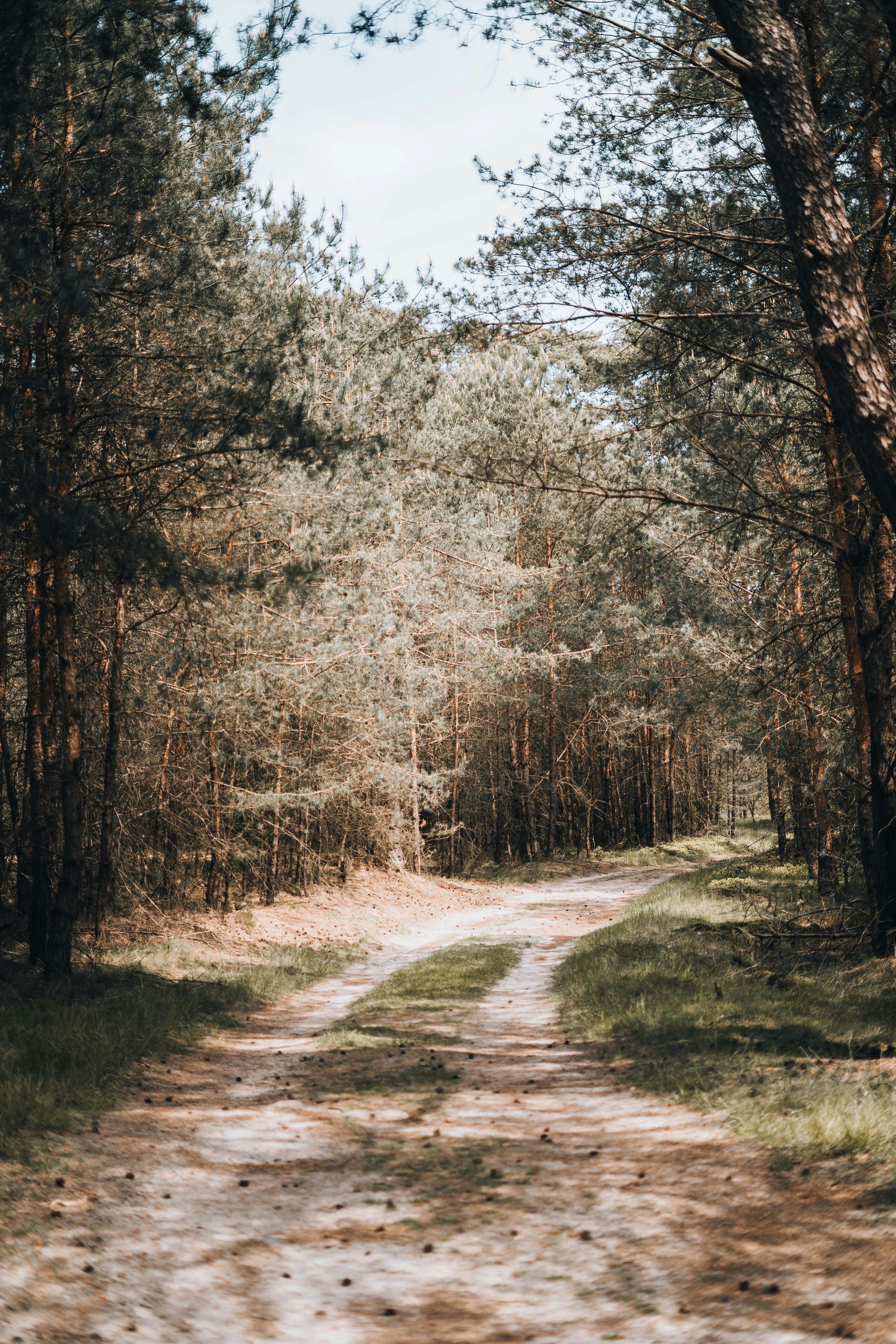 Photo by renate_dreyer