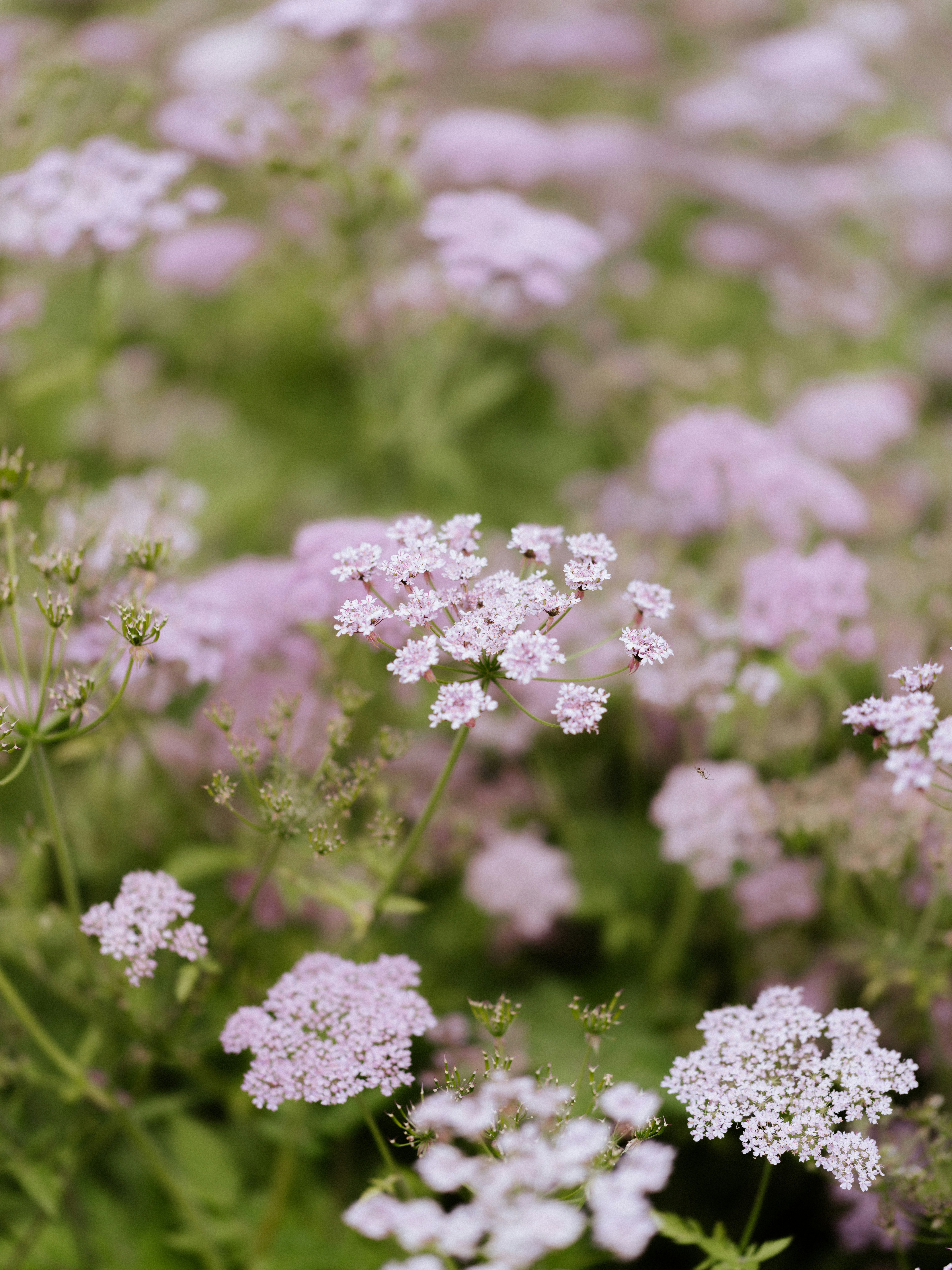 Photo by anniespratt