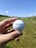 A hand is holding a white golf ball marked with the text 'ProStaff' and the number 1. The background features a lush green golf course under a clear blue sky with a few scattered clouds.