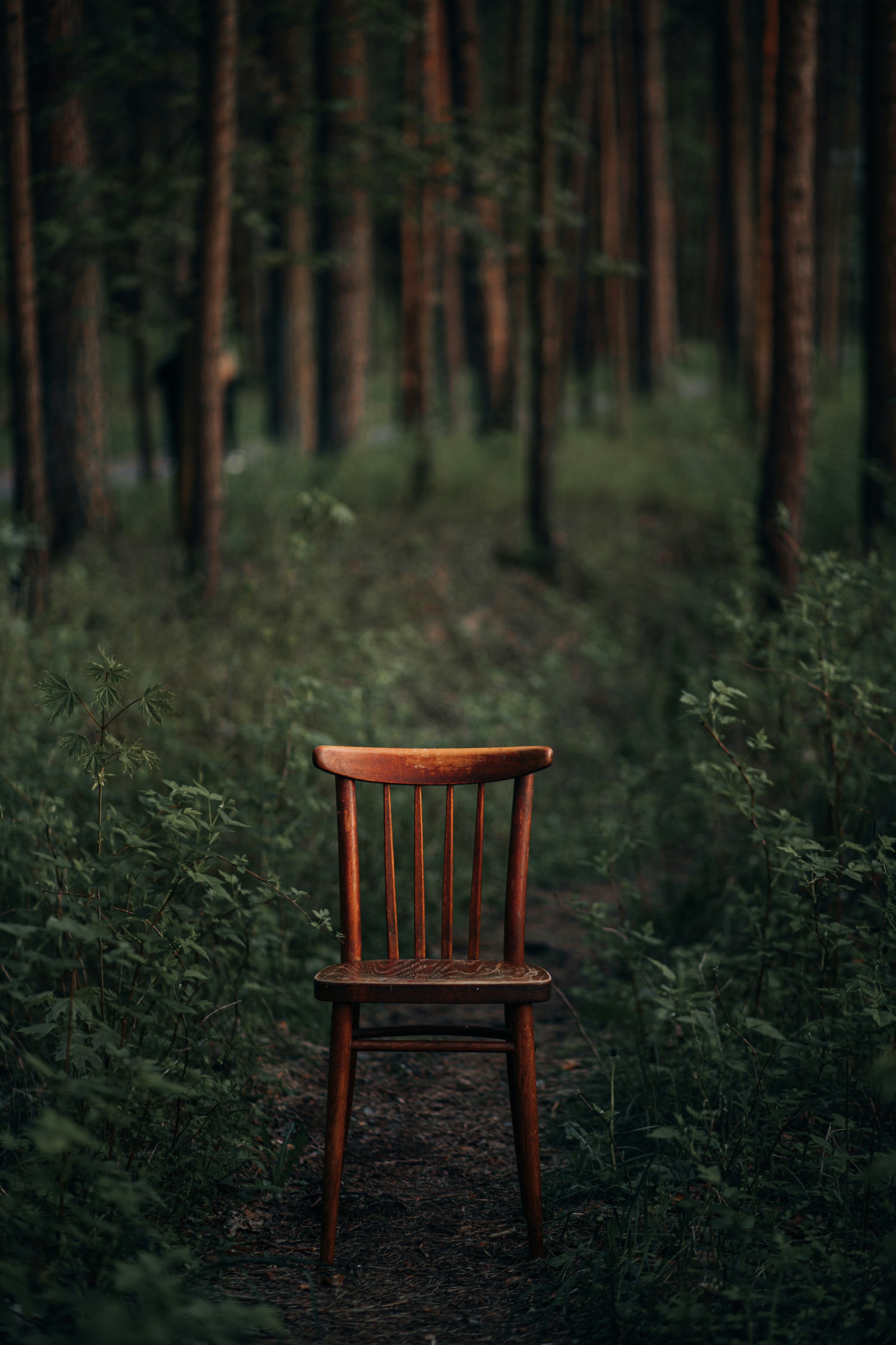a wooden chair sitting in the middle of a forest