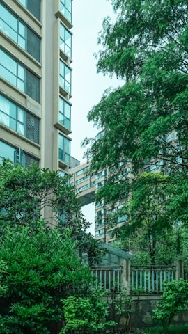 Tall residential buildings with large glass windows are partially obscured by lush green trees. A connecting structure is visible between the buildings. The scene conveys a blend of urban and natural elements.