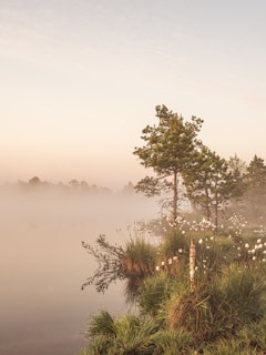 A serene landscape that evokes the essence of a floral fragrance.