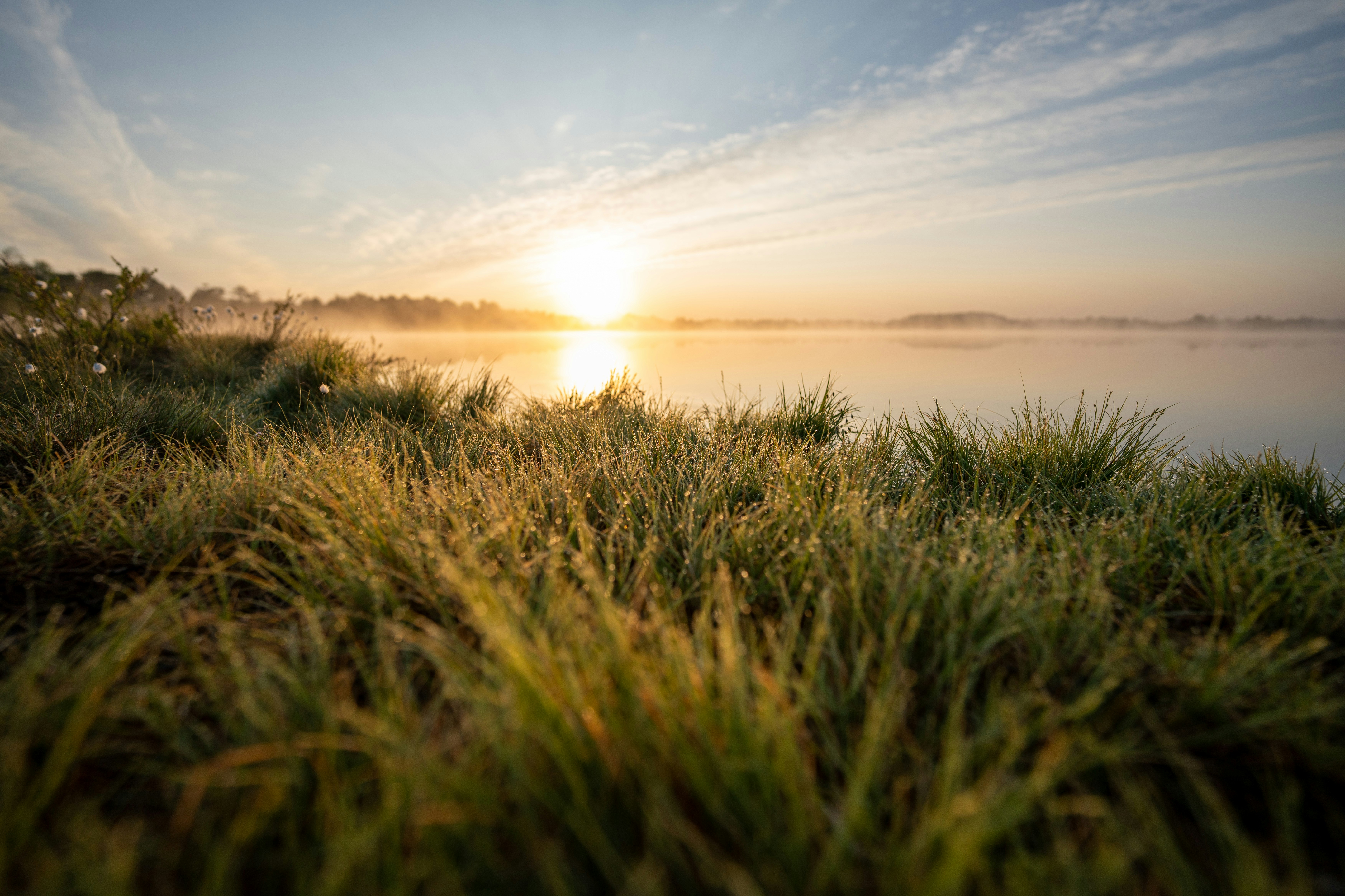 Photo by janekvaldsalu