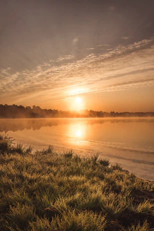 A serene landscape with golden hour sunlight filtering through tall trees beside a quiet lake.