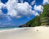 A remote stretch of pristine white sand beach bordered by gentle Caribbean waves.