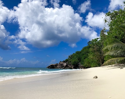 A remote stretch of pristine white sand beach bordered by gentle Caribbean waves.