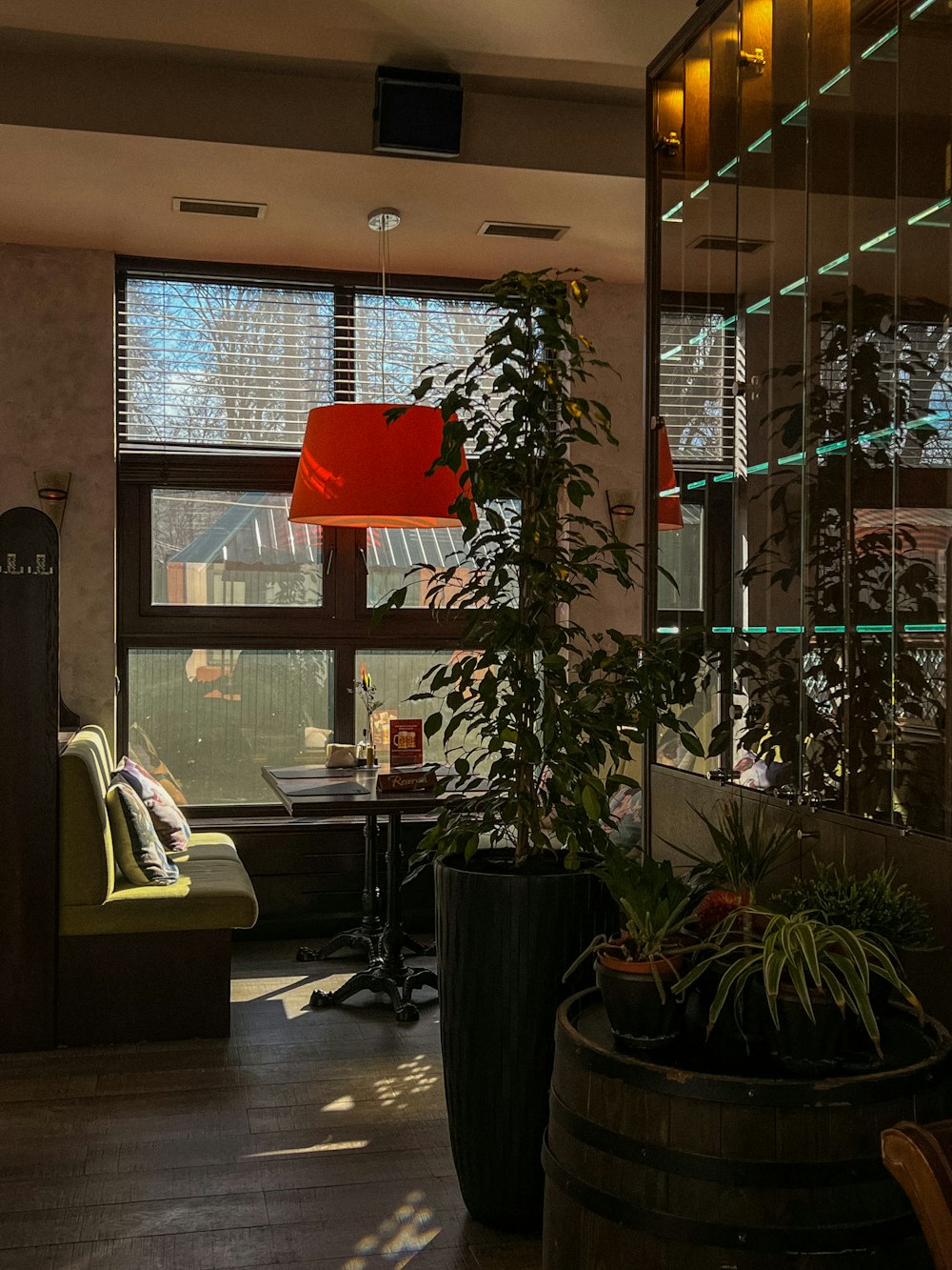 a living room with a large window and a plant in the corner