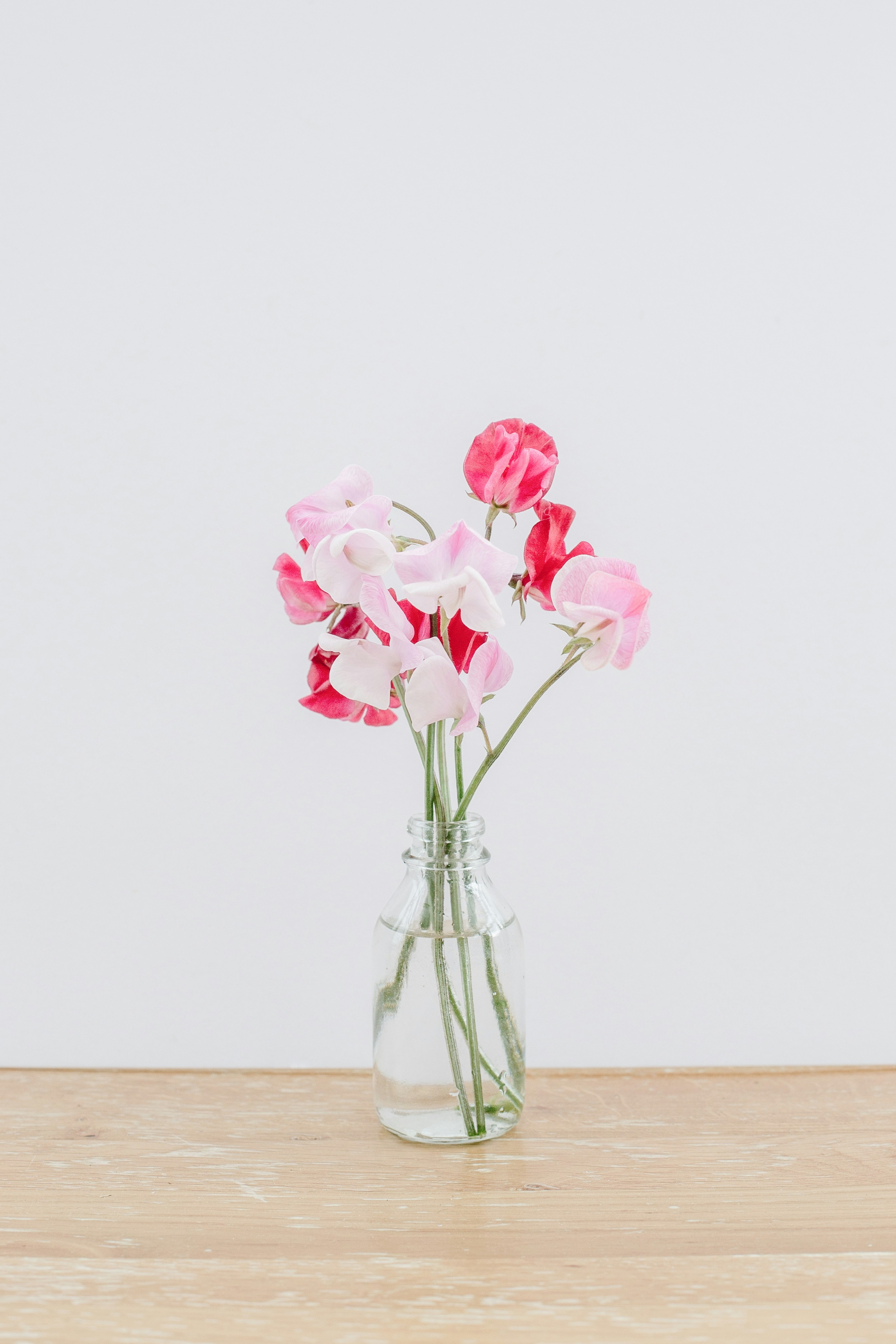 Classic Floral Blend