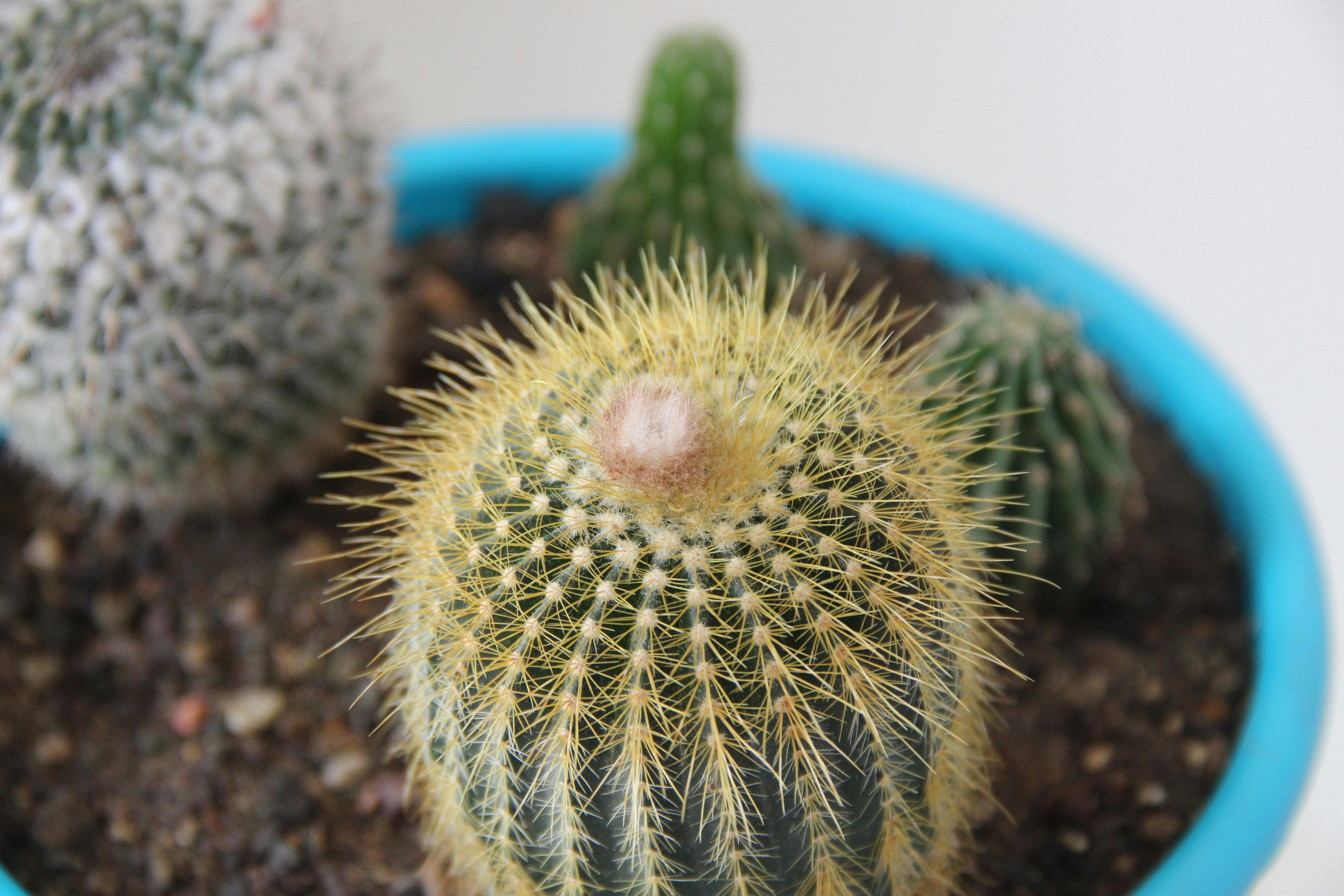 Photo by paris_nature_photo