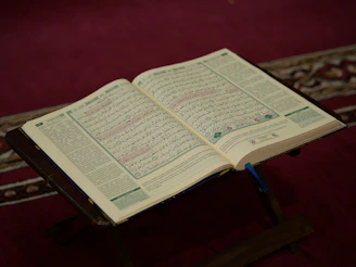 An open book with Arabic calligraphy on a wooden table surrounded by green plants, symbolizing knowledge and growth.