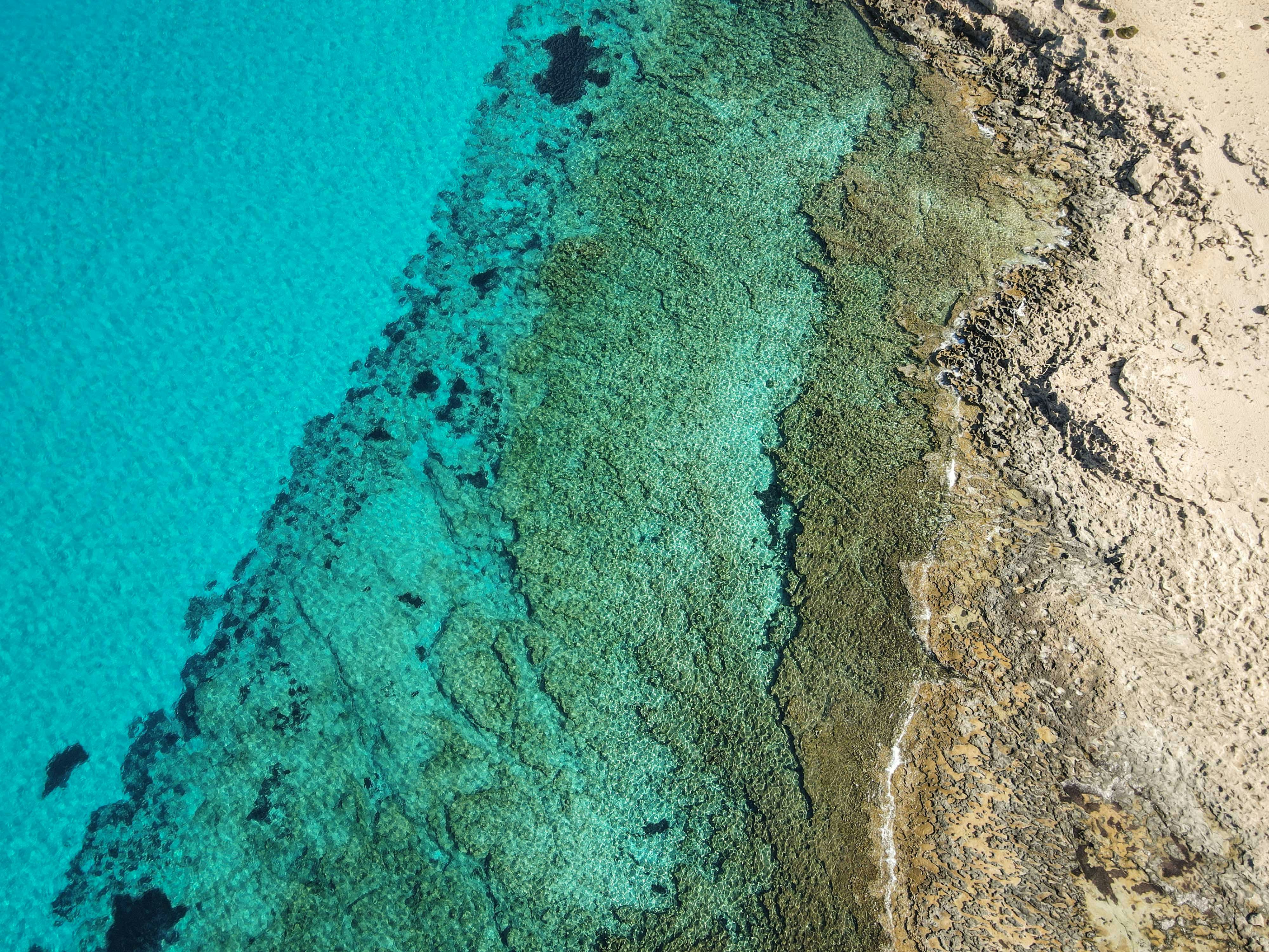 Photo by francesco_ungaro