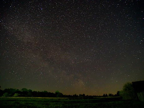 A star-filled night sky stretches above a dark landscape, where silhouettes of trees line the horizon. The Milky Way is faintly visible, creating a subtle band across the sky. The scene captures the vastness and beauty of the universe.