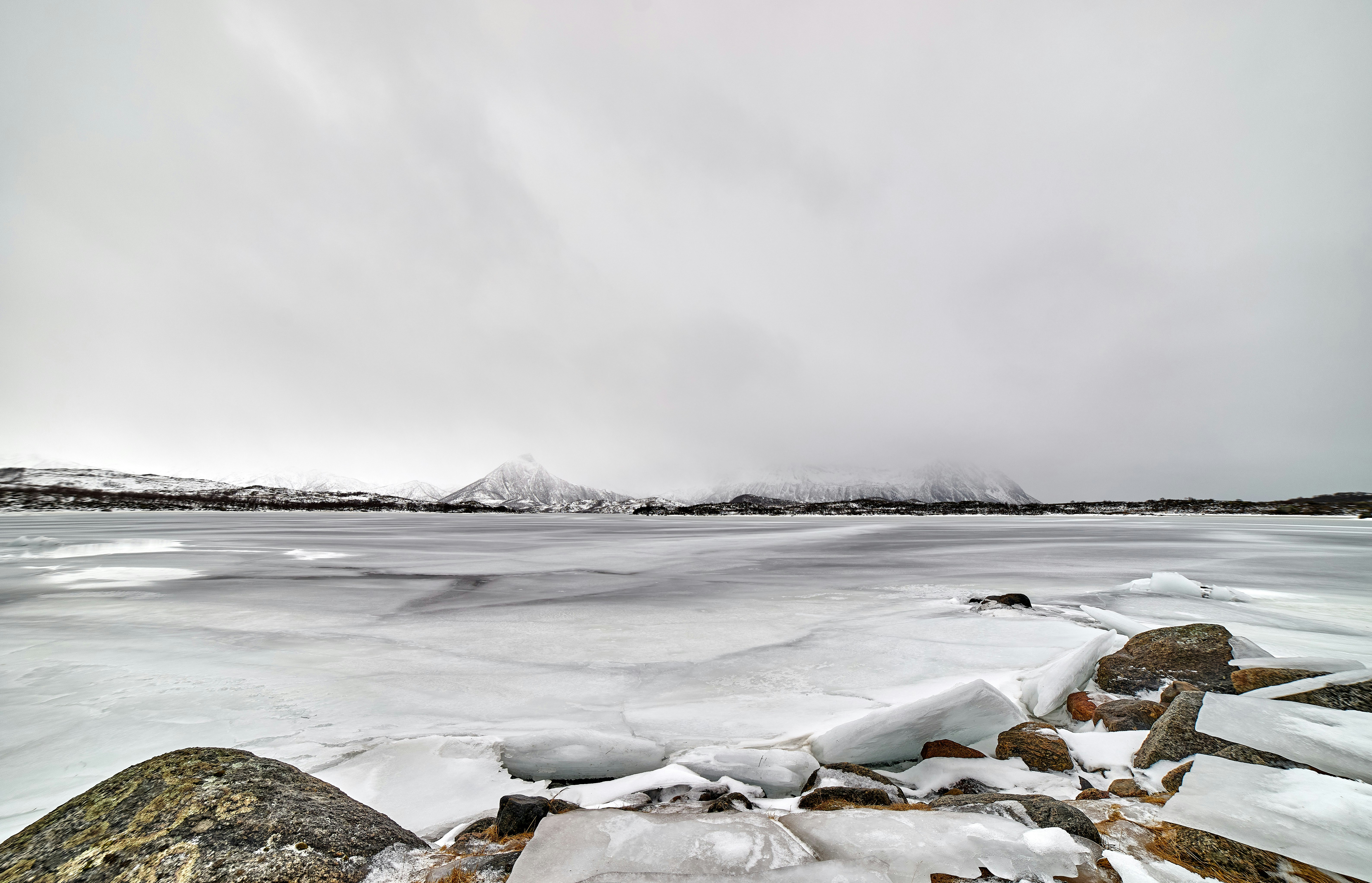 Photo by wolfgang_hasselmann