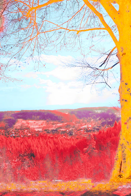A vibrant tree symbolizing growth and unity over the landscapes of General Sánchez Cerro province