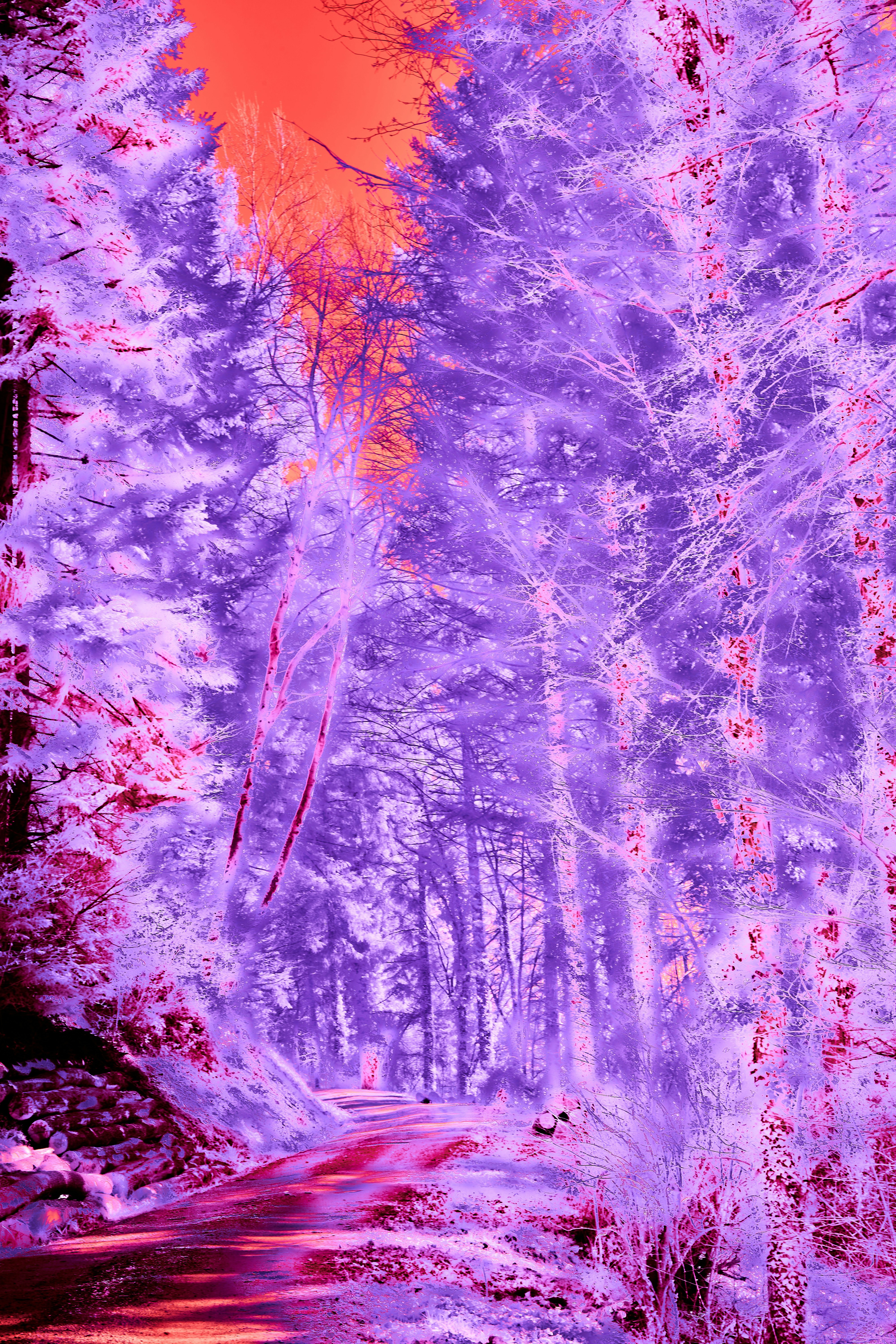 Photo by wolfgang_hasselmann