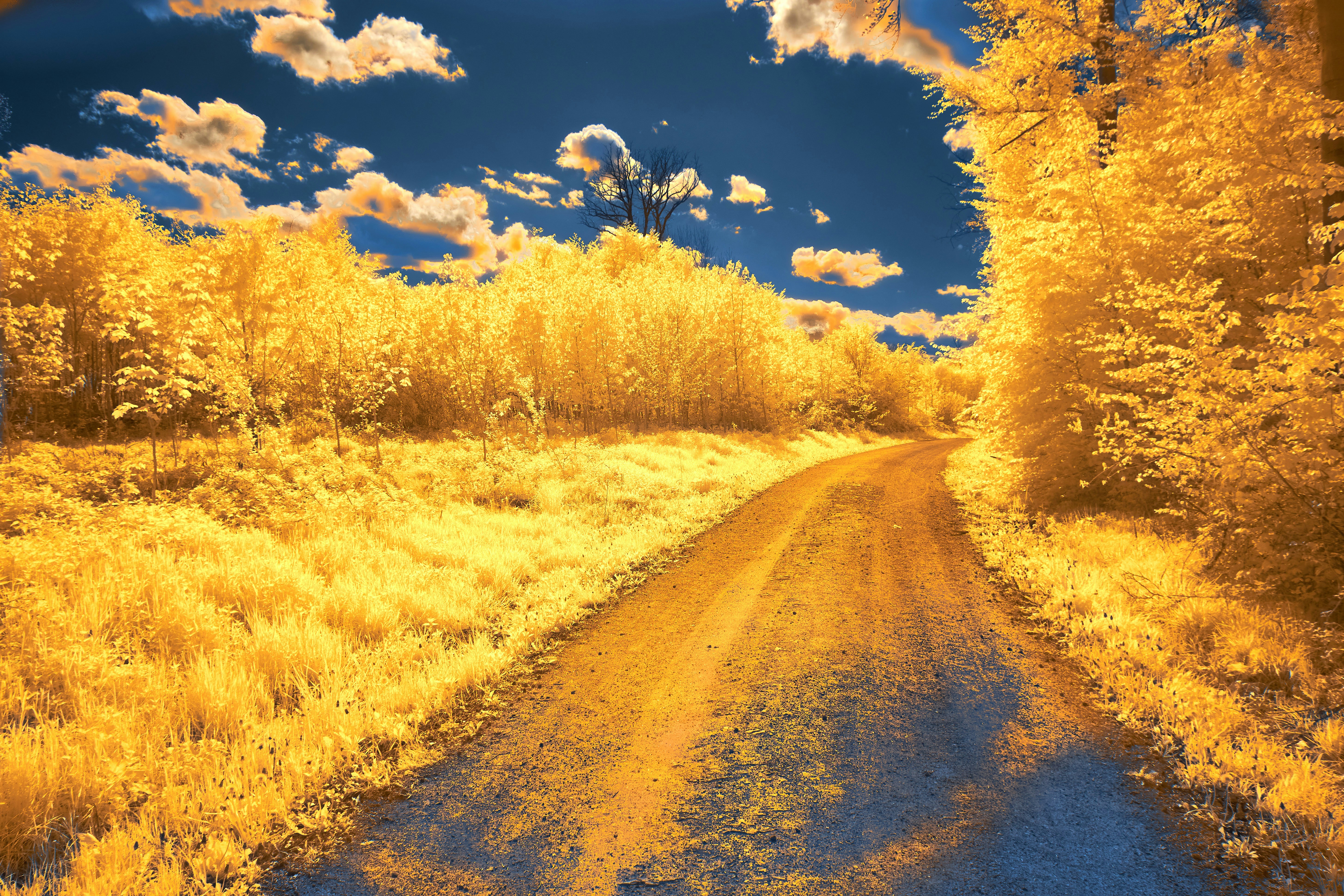 Photo by wolfgang_hasselmann