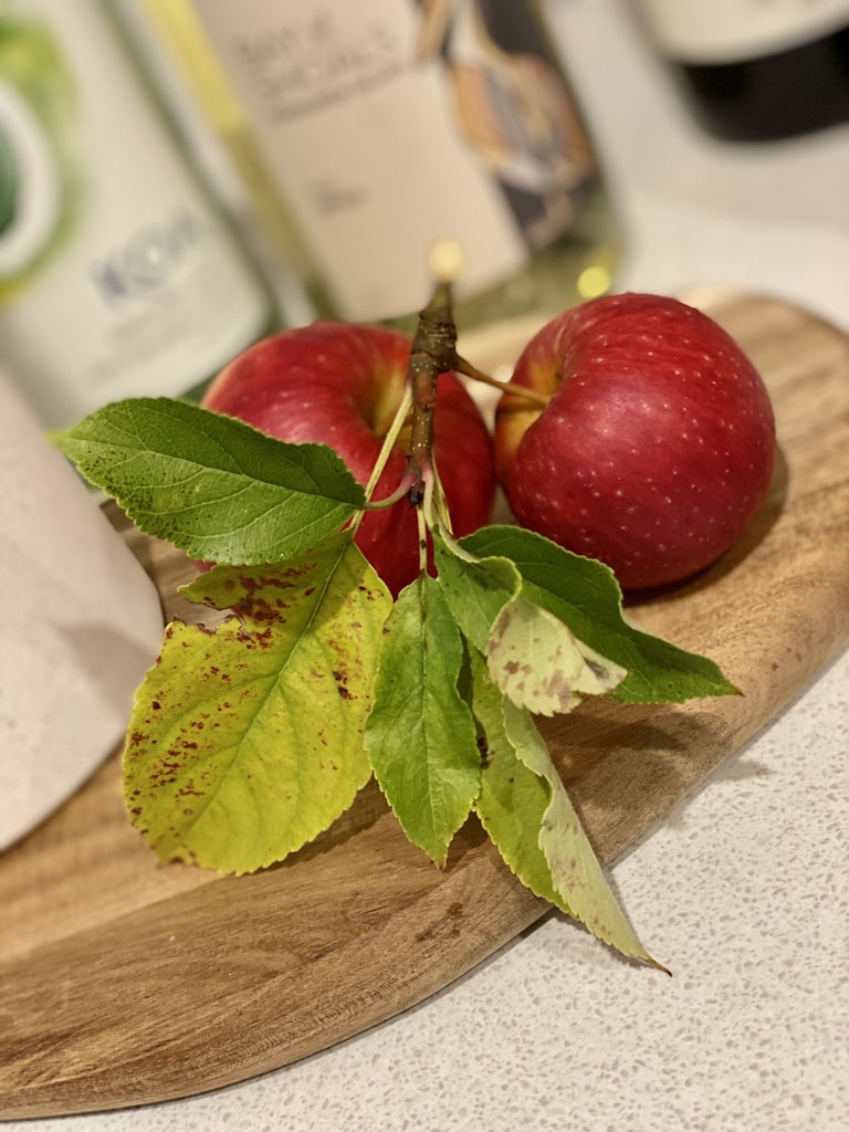 Beginner Cooking Basics