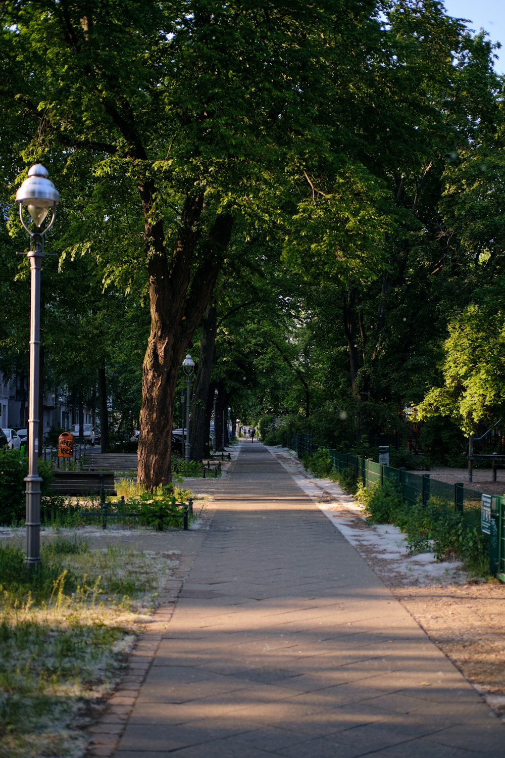 a tree lined sidewalk in a park with a lamp post