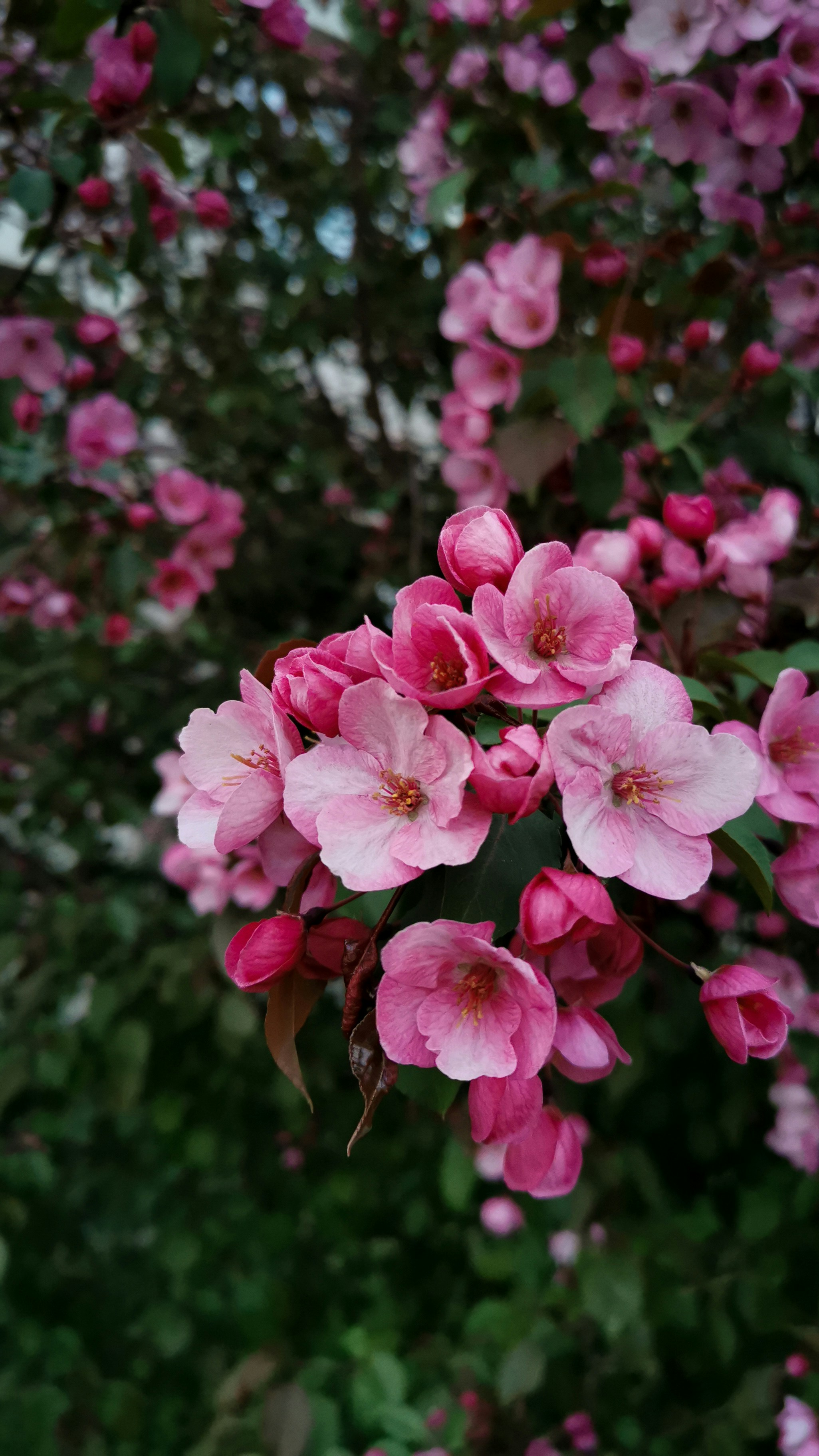 Photo by ann_integra