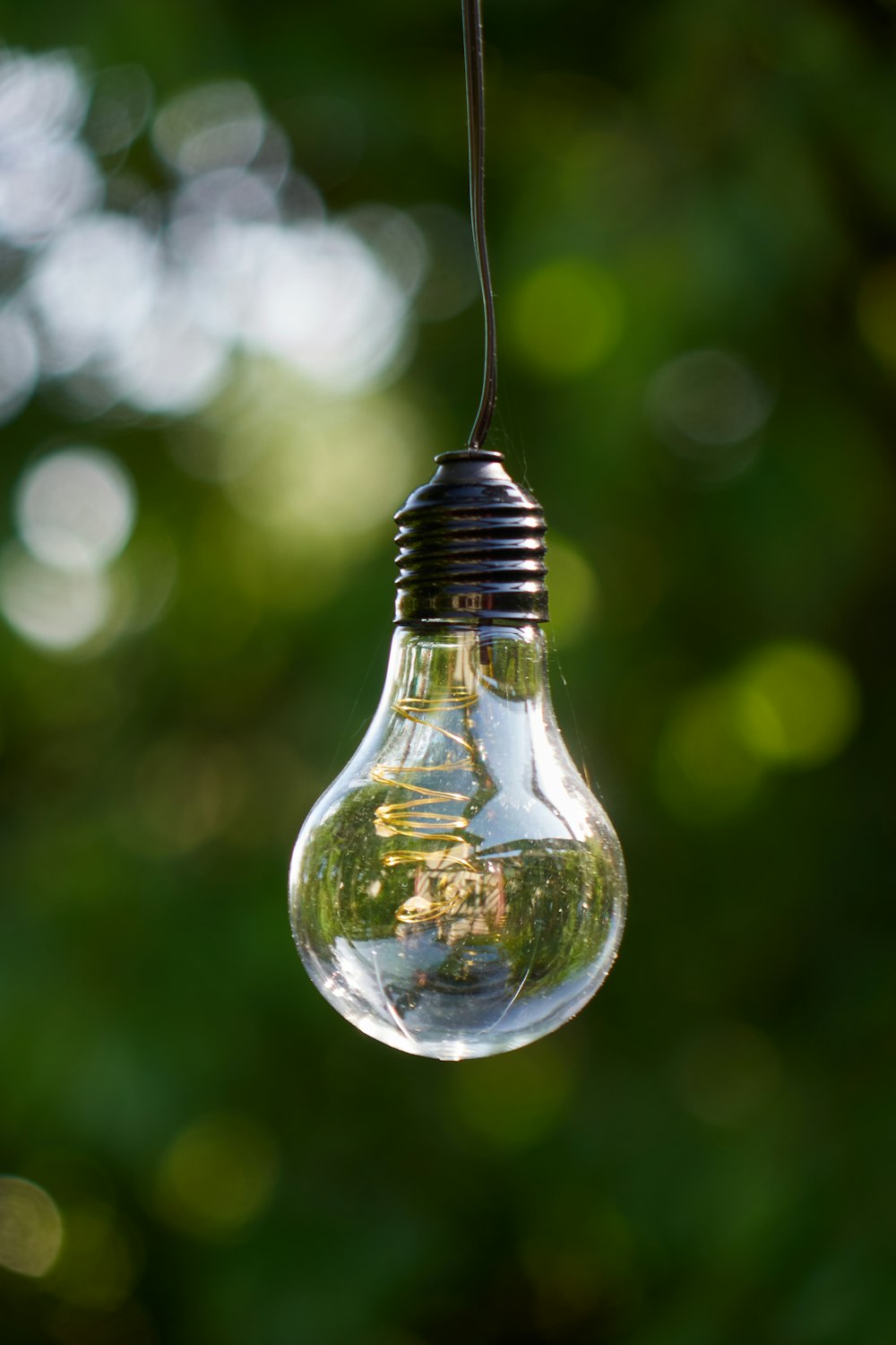 a light bulb hanging from a wire with trees in the background