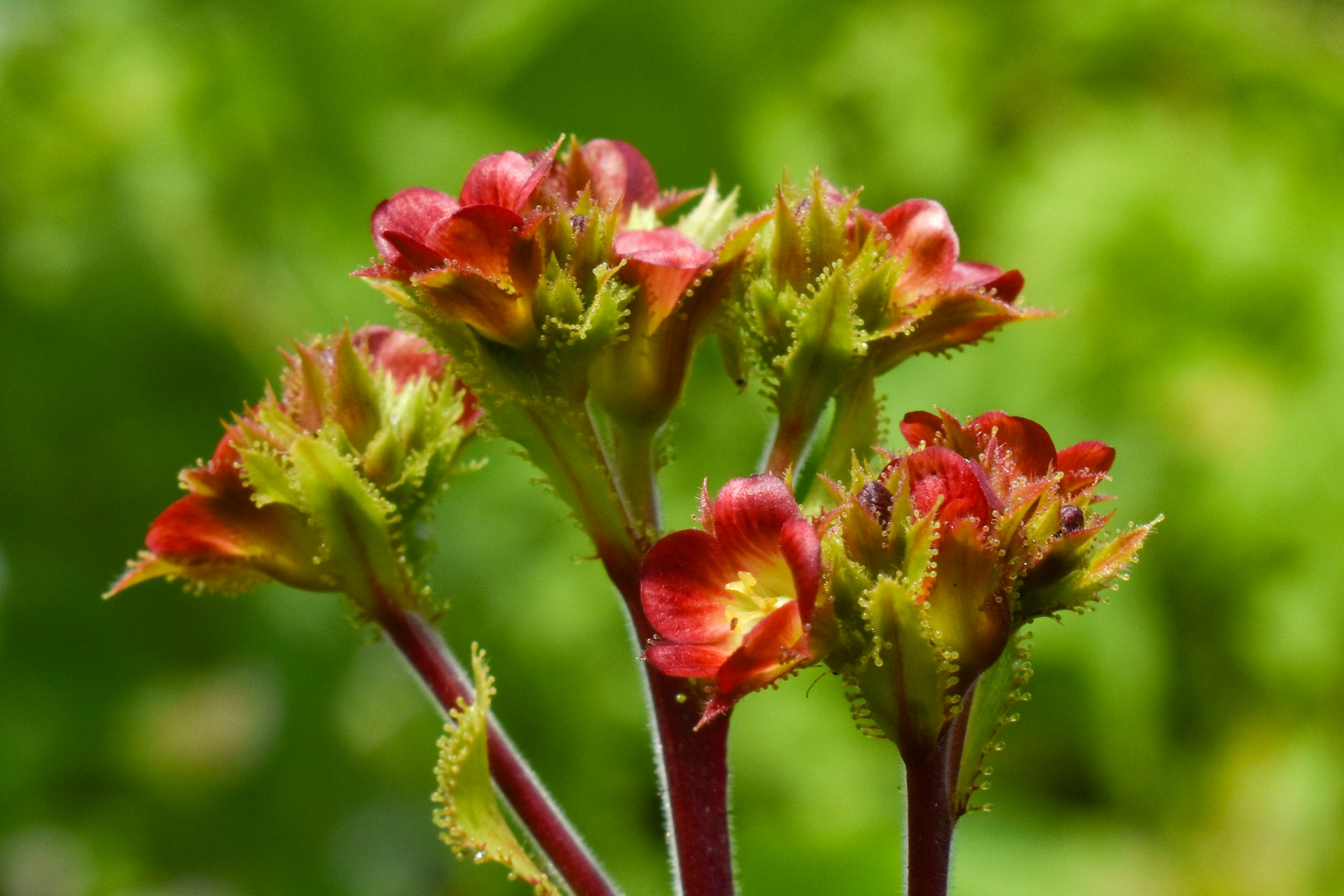 Photo by sian_labay_official