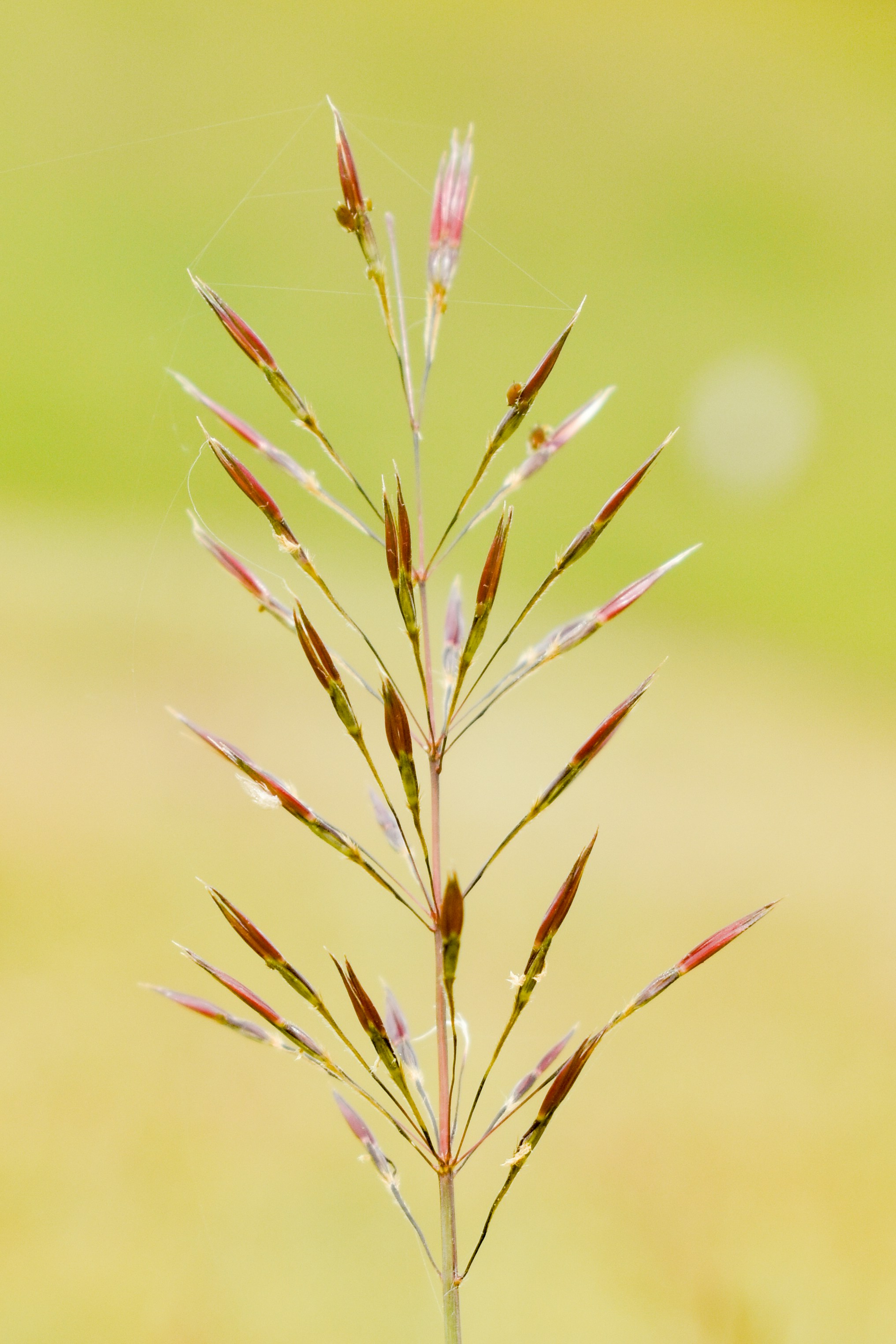 Photo by sian_labay_official