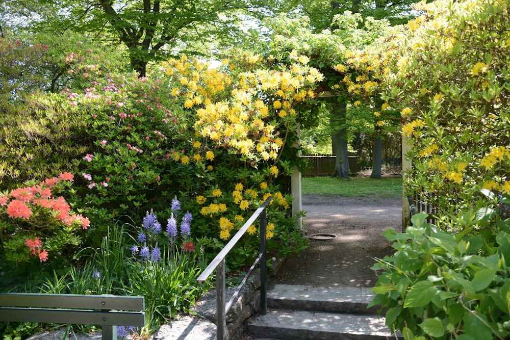 a garden with flowers and stairs leading to a park