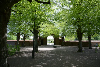 Warm, welcoming entrance of šviesos tiltas with soft sunlight filtering through trees.