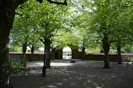 A peaceful, tree-lined pathway leads to an ornate brick archway. Sunlight gently filters through the vibrant green leaves, creating dappled patterns on the ground. The scene conveys a serene and inviting atmosphere.