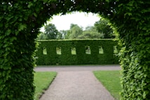 An archway formed by lush green leaves frames a view of a neatly trimmed hedge with rectangular openings. Beyond the hedge lies a manicured lawn and a variety of dense trees under an overcast sky. A gravel path leads through the archway into the garden.