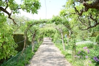 An inviting garden pathway lined with solar lights and colorful shrubs.