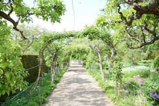 A lush garden pathway surrounded by diverse green plants and colorful flowers