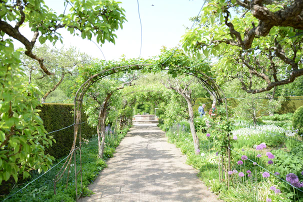 A sunlit botanical garden pathway lined with blooming flowers and greenery.