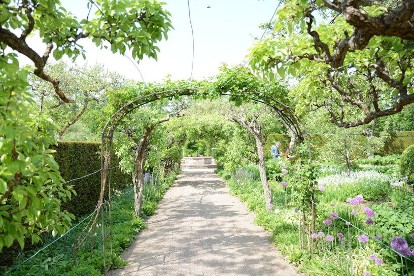 A vibrant garden pathway lined with colorful flowers and neatly trimmed shrubs under soft outdoor lighting.
