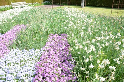 A beautiful garden with colorful flowers and a seating area for relaxation.