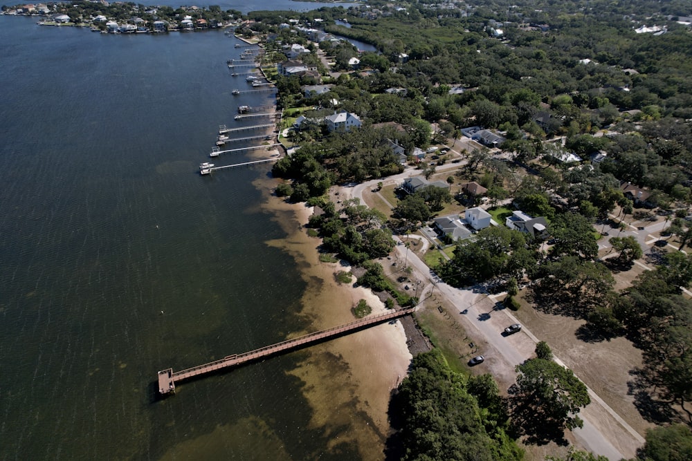 a large body of water surrounded by trees