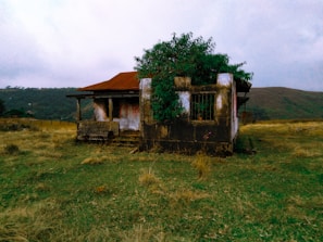 An abandoned house sits in an open field, its exterior weathered and worn. The roof is rusty red, and the walls are covered with patches of discoloration and moss. A thick bush or tree partially obscures the building, adding a touch of green to the scene. The surrounding landscape is grassy, rolling gently with distant hills under an overcast sky.
