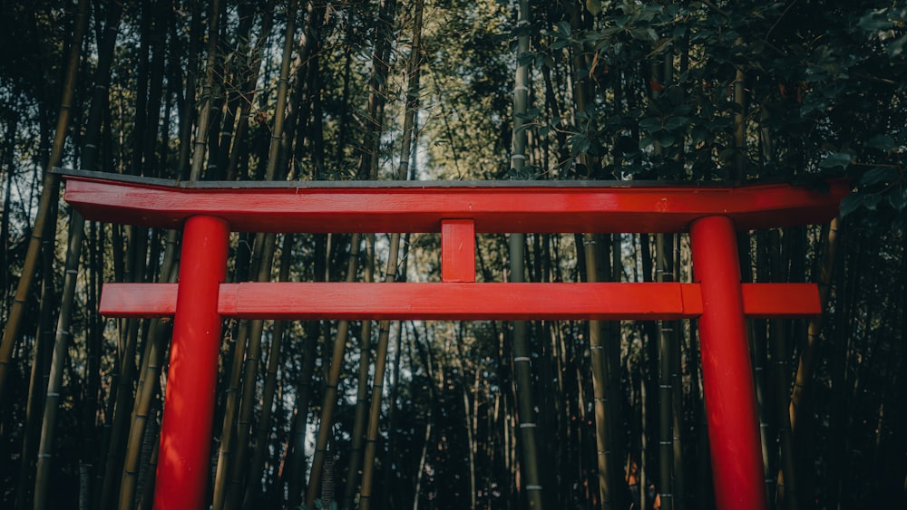 Una silla roja sentada frente a un bosque de bambú
