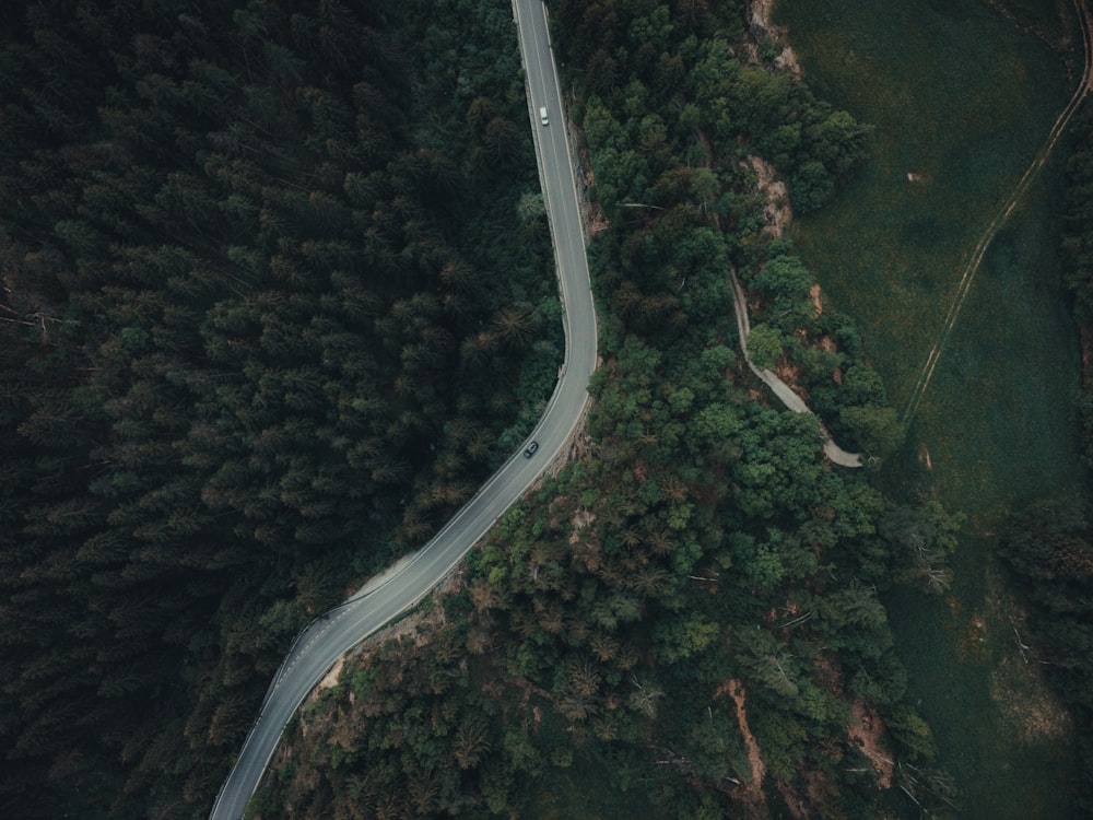 an aerial view of a winding road in the woods