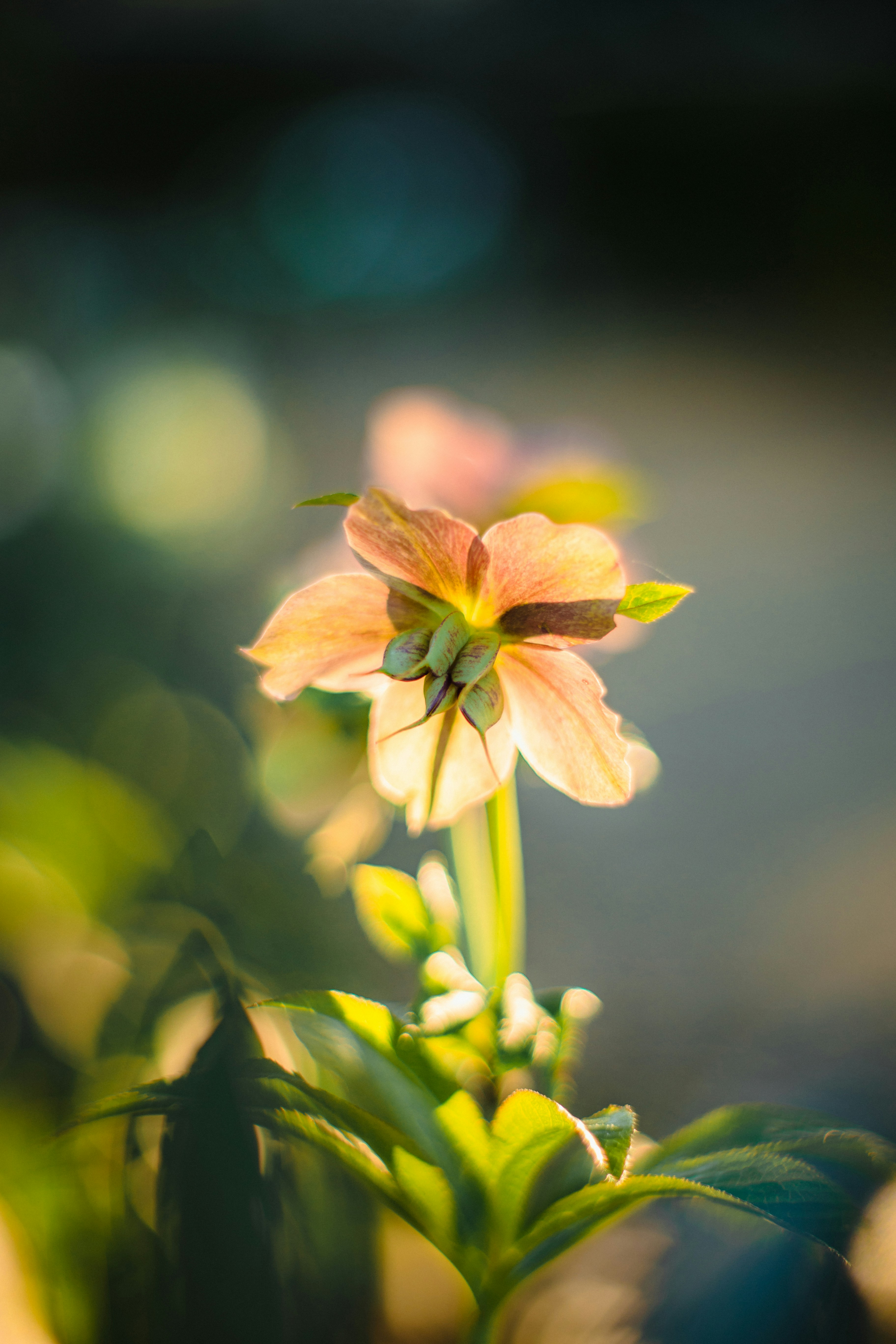 Photo by ninjason